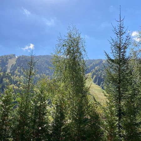 Ski View Studio - Near The Ski Slopes アズガ エクステリア 写真