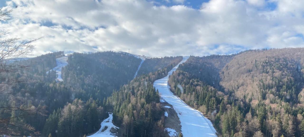 Ski View Studio - Near The Ski Slopes アズガ エクステリア 写真